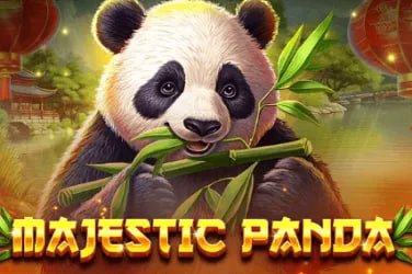 Layar perjudian ambil4d dengan berbagai permainan olahraga dan slot online